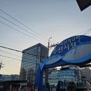 해물수산 | 마산 삼포수산 내돈내산 후기｜갑오징어회에 해물라면까지 좋았던 포차 감성 술집
