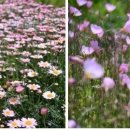 미실란밥 cafe 반하다 이미지