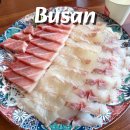 소나무 | 부산 다대포 횟집 참치 모둠회 맛집 소나무회 후기
