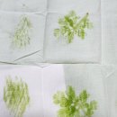 한터농장 이미지