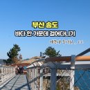 송도용궁구름다리 이미지