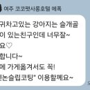 코코펫 살롱 호텔 이미지