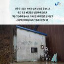보령커피