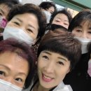 난타(야) 이미지