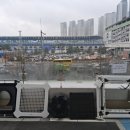 참동물병원 이미지