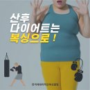 한국체대라학균복싱클럽 이미지