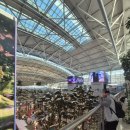 호텔22 | 12월 22일 푸꾸옥행 이스타항공 탑승, 아쿠아썬호텔 숙박후기