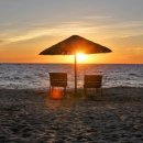 짱뚱어 해변 주변 돈나무길 조성사업 | 쉿! 비밀이야😘 여주 강천섬부터 신안 증도까지 나만 알고 싶은 숨은 섬 여행지