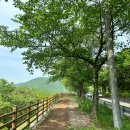 청도베이스볼파크 이미지