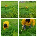 숙이네농장 이미지