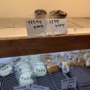 밀한줌 | 부산 온천천 카페거리 비건빵 맛집 밀한줌 솔직 후기