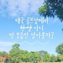 달보름