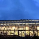 밀포레(MILFORET)300 이미지