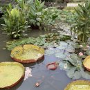 능동 학습나루터 ★나도 플로리스트★ | [광진구 SNS기자단]학습나루터 매니저 프로젝트-이웃과 함께 하는 우리동네 걷기 챌린지 참여 후기