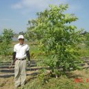 목화농원 이미지