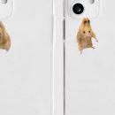 폰케이스 이미지