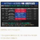 4/17(수) ~ 4/20 (토) 스포티비 NBA 플레이-인 토너먼트 생중계 일정 이미지