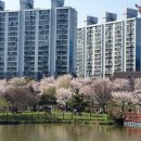 양산호수공원 이미지