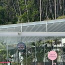 비고리조트 15 이미지