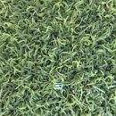 신둔 체육공원 축구장 이미지