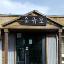 한라게스트하우스 | [제주/숙소] 서귀포 '소규모게스트하우스' 1인실 1박 후기 |하루 8명 소규모·겨울 불멍·조용한 저녁 파티