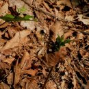 횡성 호수길 1구간 이미지