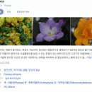 별거인 일기