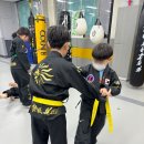 봉연관 가포도장 이미지