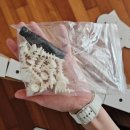 개이쁜냥 | 고양이 스크래쳐 추천 네네린도 신상 대형 스크래처 소파형 후기