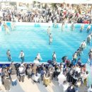 방어축제거리 이미지