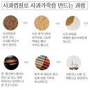 가죽의모든것