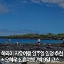 ㈜빅케이마트 | 하와이 자유여행 코스 일주일 일정 추천 (+오하우 신혼여행 7박 9일 코스)