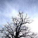 하촌할머니 이미지