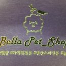 벨라 펫샵 이미지