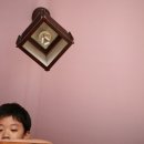 숲속의 별들 이미지