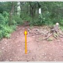 대구대진초등학교 이미지