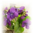 안경볼래 이미지