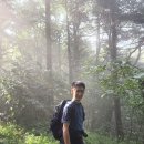 백덕산주유소 | [블랙야크 100대 명산] 태고적 원시림을 간직한 영월 백덕산