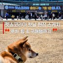(주)스페이스온라인 | 2026 펫쇼코리아 일산 첫날 방문 후기, 킨텍스 제2전시장 주차 팁부터 구매템까지