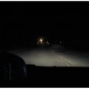 영석목장 Daum카페