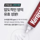 한국리페어기술