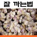 생강청 만드는 법 생강 손질과 오래 두고 보관하는 법 이미지