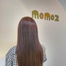 모모즈헤어&증모