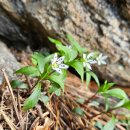 경춘선 자전거도로(호평동, 마치터널 앞)[호평-6] | [천마산] 서울에서 가까운 50명산