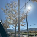 동부주유소 화장실(sk) | [거제 단풍구경] 동부저수지