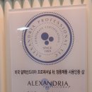 메디피엘