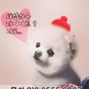 오오필라테스앤피티