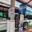 서울온천 버스정류장(11435) | [일본] 7박 8일 겨울 나고야 #2일차_나바나노사토(なばなの里), 사토노유(里の湯) 온천