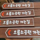 오름소공원 이미지