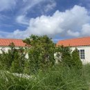 슬로메이 이미지